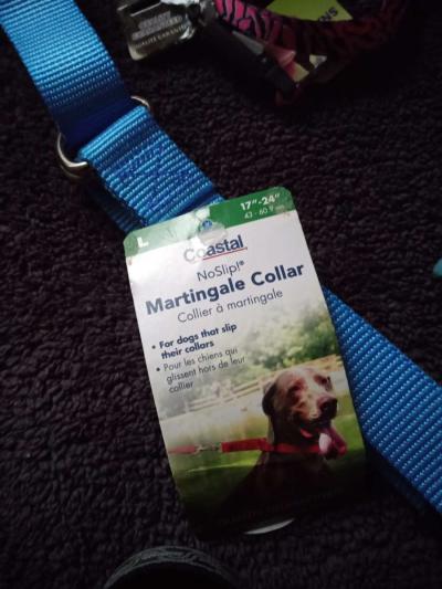Pet Collars - Thumbnail 3