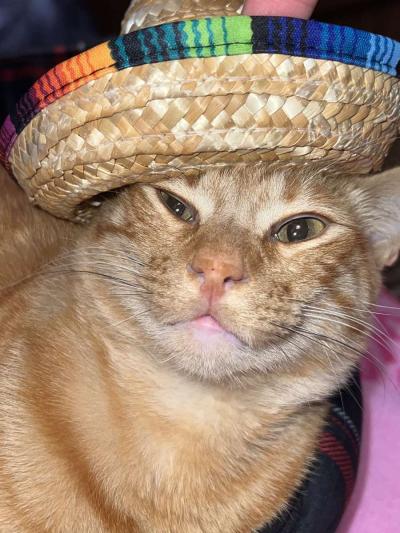 sombrero straw hat for dolls - Thumbnail 5