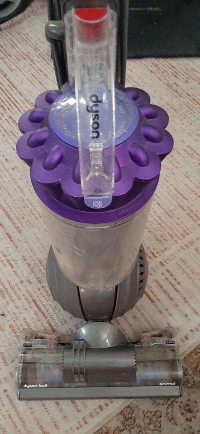 Dyson Animal - Thumbnail 2