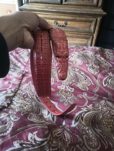 Brown Alligator belt for a man - Thumbnail 4