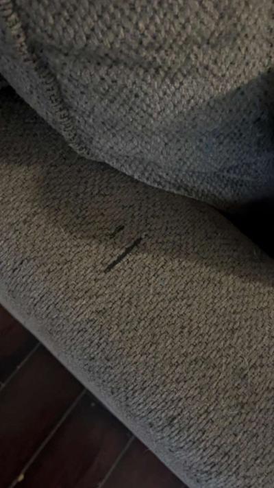 Ashley Brand Sectional