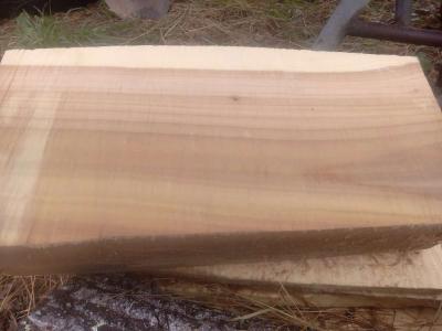 Live Edge Wood Slabs - Clyde, North Carolina