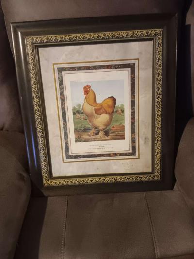 pictures frames - Thumbnail 2