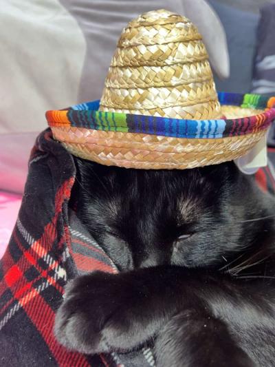 sombrero straw hat for dolls - Thumbnail 4
