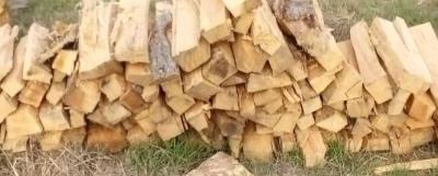 FIREWOOD - Austin, Texas