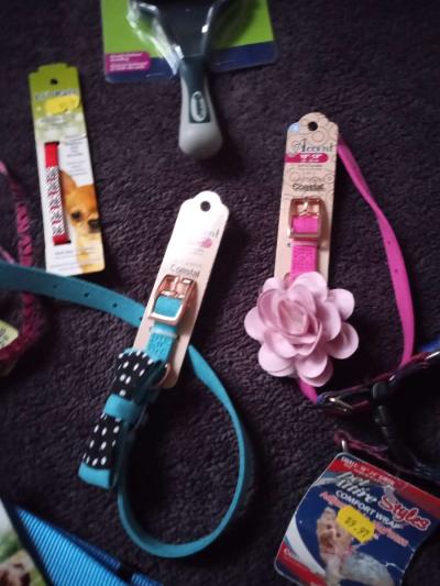 Pet Collars - Thumbnail 2