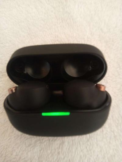 SONY EARBUDS - Thumbnail 3