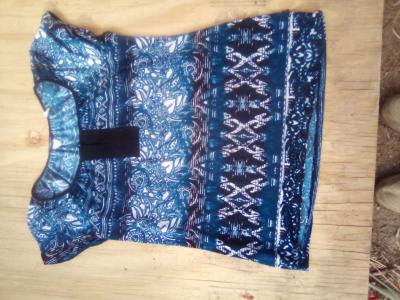 A Beautiful blue blouse - Twentynine Palms, California