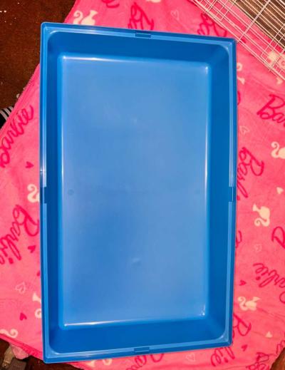 cage needs to go asap - Thumbnail 2