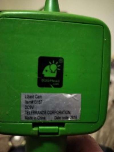 Lizard Cam - Thumbnail 2