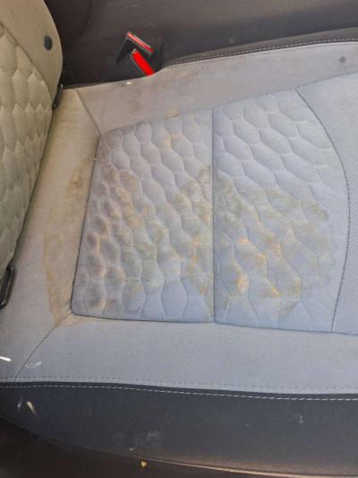 carpet cleaning - Thumbnail 2