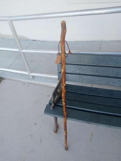 Walking Canes for Mobility - Thumbnail 2
