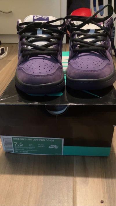 Purple Lobster Sb 7 - Thumbnail 3