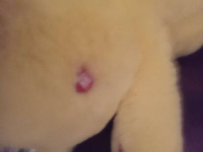 Carebear Sunshine - Thumbnail 5