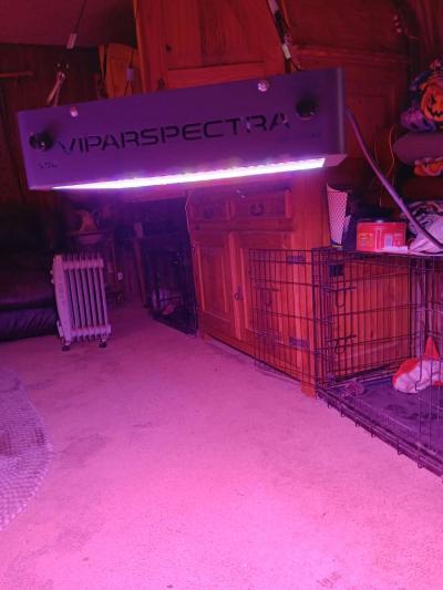 indoor grow lights 4 - Thumbnail 3