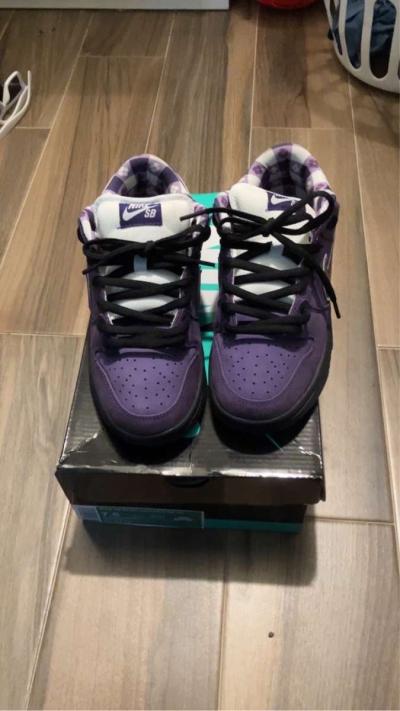 Purple Lobster Sb 7 - Thumbnail 2