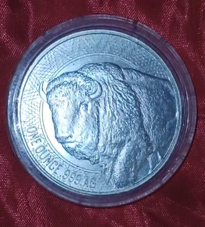 1 oz Buffalo round - Thumbnail 2