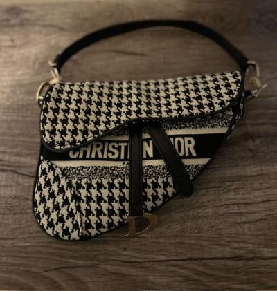 Saddle Dior - Thumbnail 2