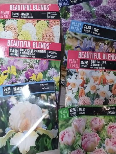 seed starter kits various flower bulbs - Thumbnail 2