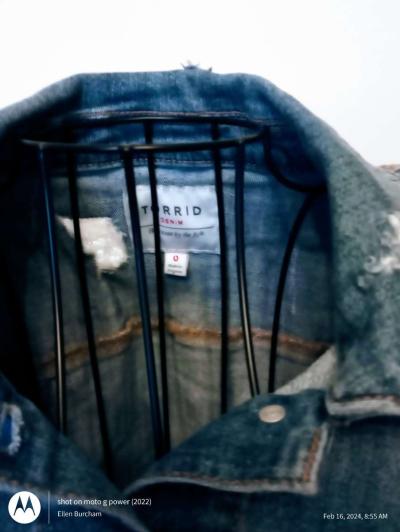 Torrid Denim - Thumbnail 3