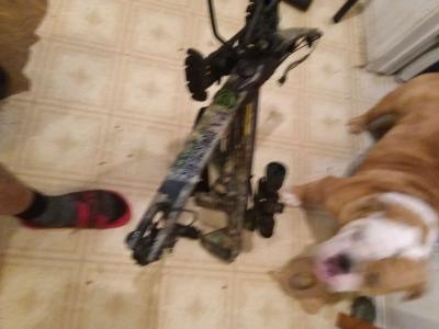 Parker Cross bow - Thumbnail 2