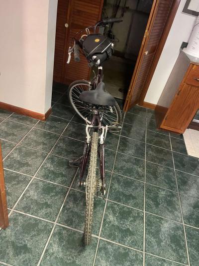 womens magna oasis 7 speed bike - Thumbnail 6