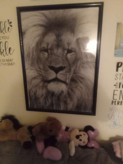 lion picture in frame - Thumbnail 3