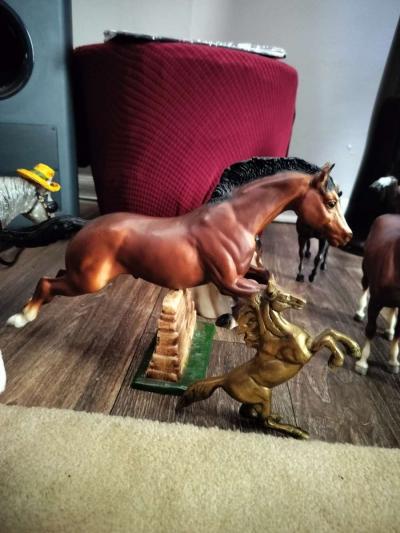 Brayer horse collectables - Thumbnail 2