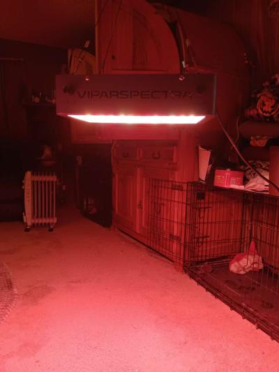 indoor grow lights 4 - Wills Point, Texas