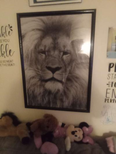lion picture in frame - Thumbnail 4