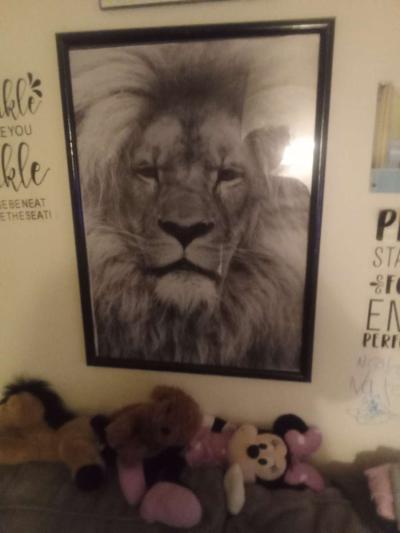 lion picture in frame - Thumbnail 6
