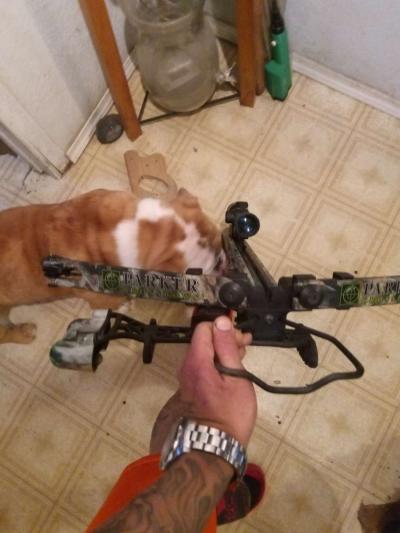 Parker Cross bow - San Antonio, Texas