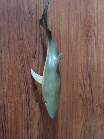 Plastic shark - Thumbnail 2