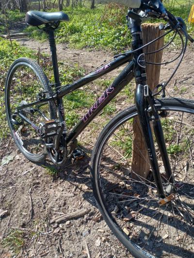 bicycle - Thumbnail 2