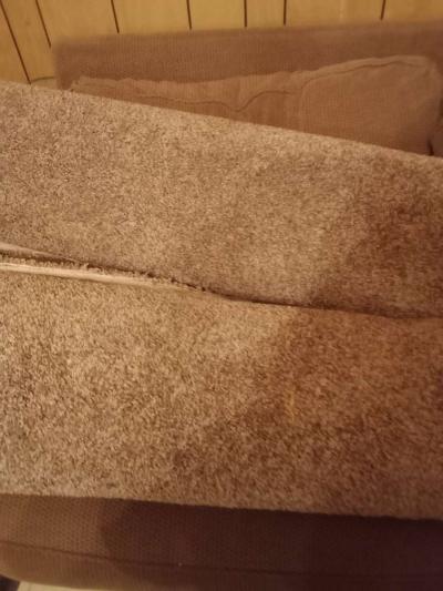 carpet