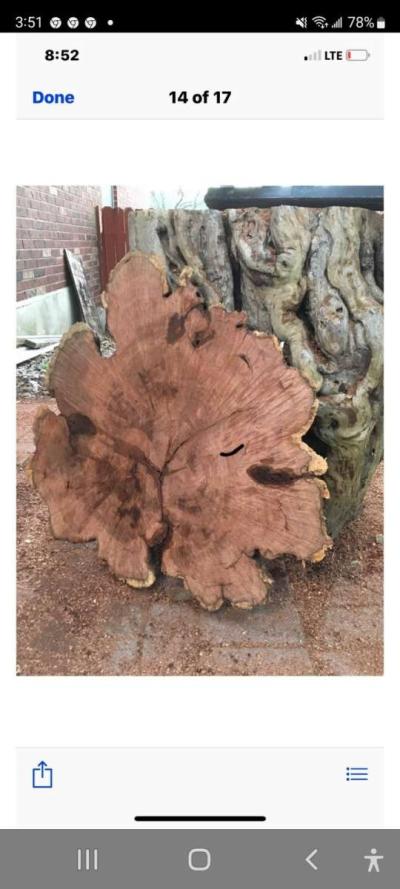 mesquite slabs of wood  7 ft tall  by 38 to 40 inches wide - Thumbnail 4