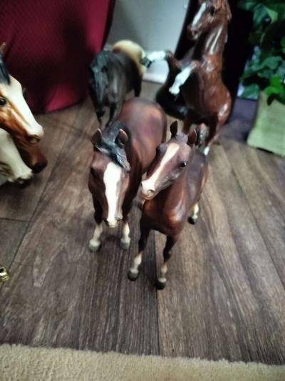 Brayer horse collectables - Thumbnail 3