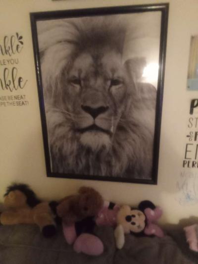 lion picture in frame - Thumbnail 2