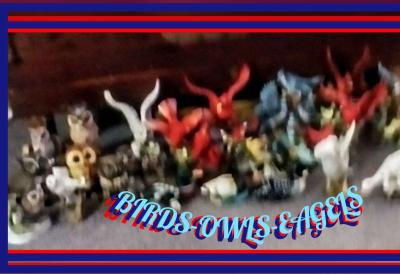 All kinds of BirdsOwls  Eagles - Des Moines, Iowa