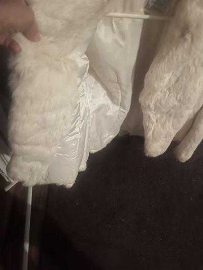 Rabbit Furr Coat - Thumbnail 3