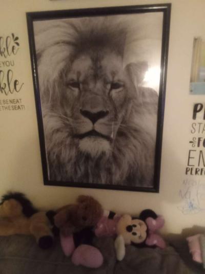 lion picture in frame - Thumbnail 5