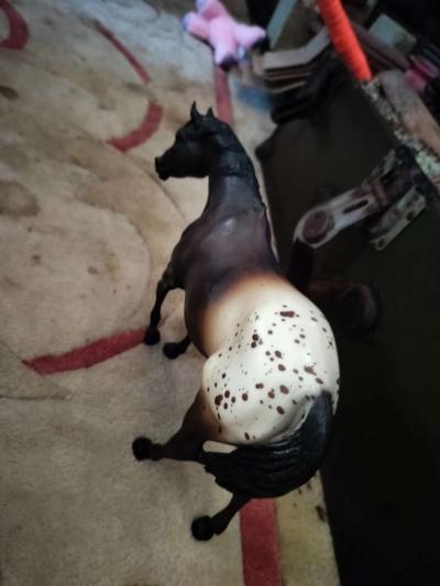 Brayer horse collectables - Thumbnail 4