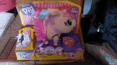 My pet pig - Thumbnail 2