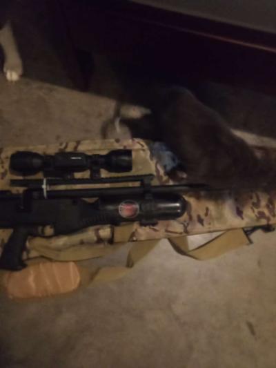 hatsan air shotgun - Fort Worth, Texas