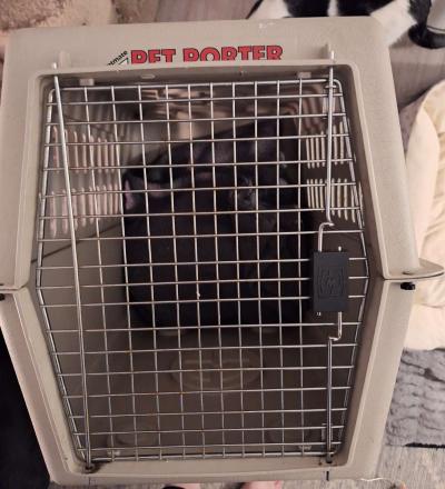 36 inch Large Dog Kennel - Thumbnail 2