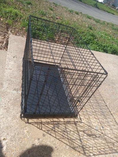 Brand new medium sized dog cage just bought it - Thumbnail 4