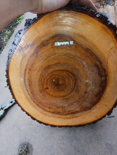 house decorations for all of them is 90 - Thumbnail 2