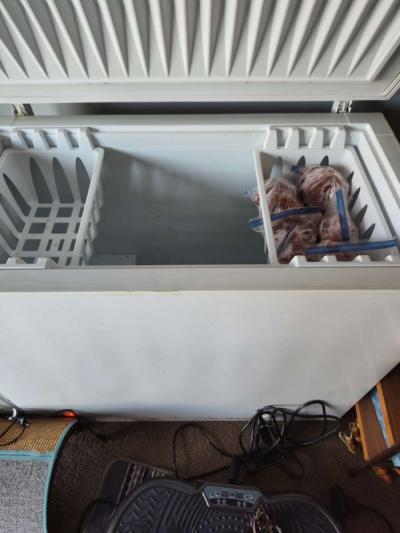 freezer for sale freezer for sale