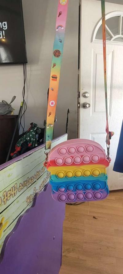 Hamburger Pop It Purse - Middleburg, Florida