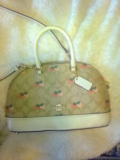 Genuine Coach Crossbody Handbag Purse